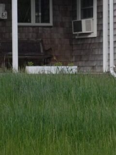 Outdoor Features That Commonly Lead to HOA Complaints