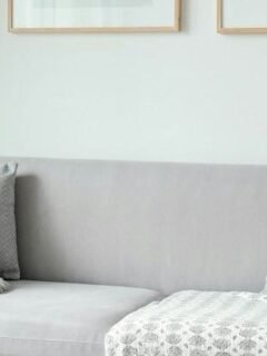 Why Indoor Humidity Levels Matter More Than You Think