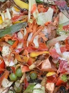 Why I Quit Composting - Pests, Odors, and Mess Made Me Stop