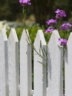 10 Neighborhood Rules Most Homeowners Don't Realize They're Breaking