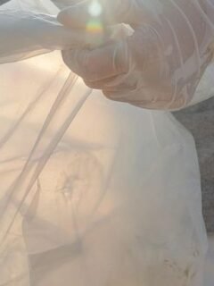 7 Yard Waste Practices That Can Get You Fined, Environmental Data Confirms