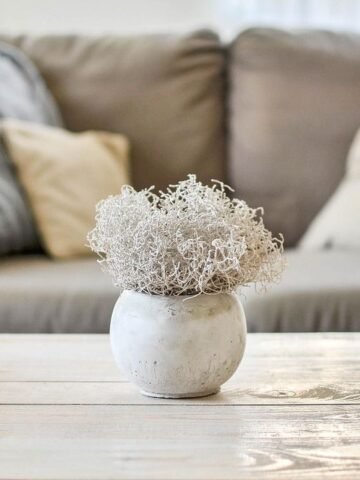 The Cozy Living Room Trend Millennials Are Bringing Back