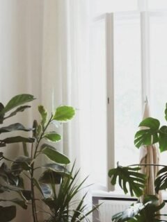 Simple Bedroom Changes That Help You Sleep Better