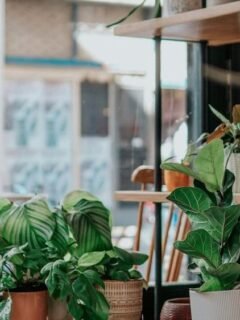 The Best Budget Decor Finds for Every Room