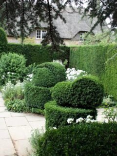 The Charm of Well-Kept Front Gardens